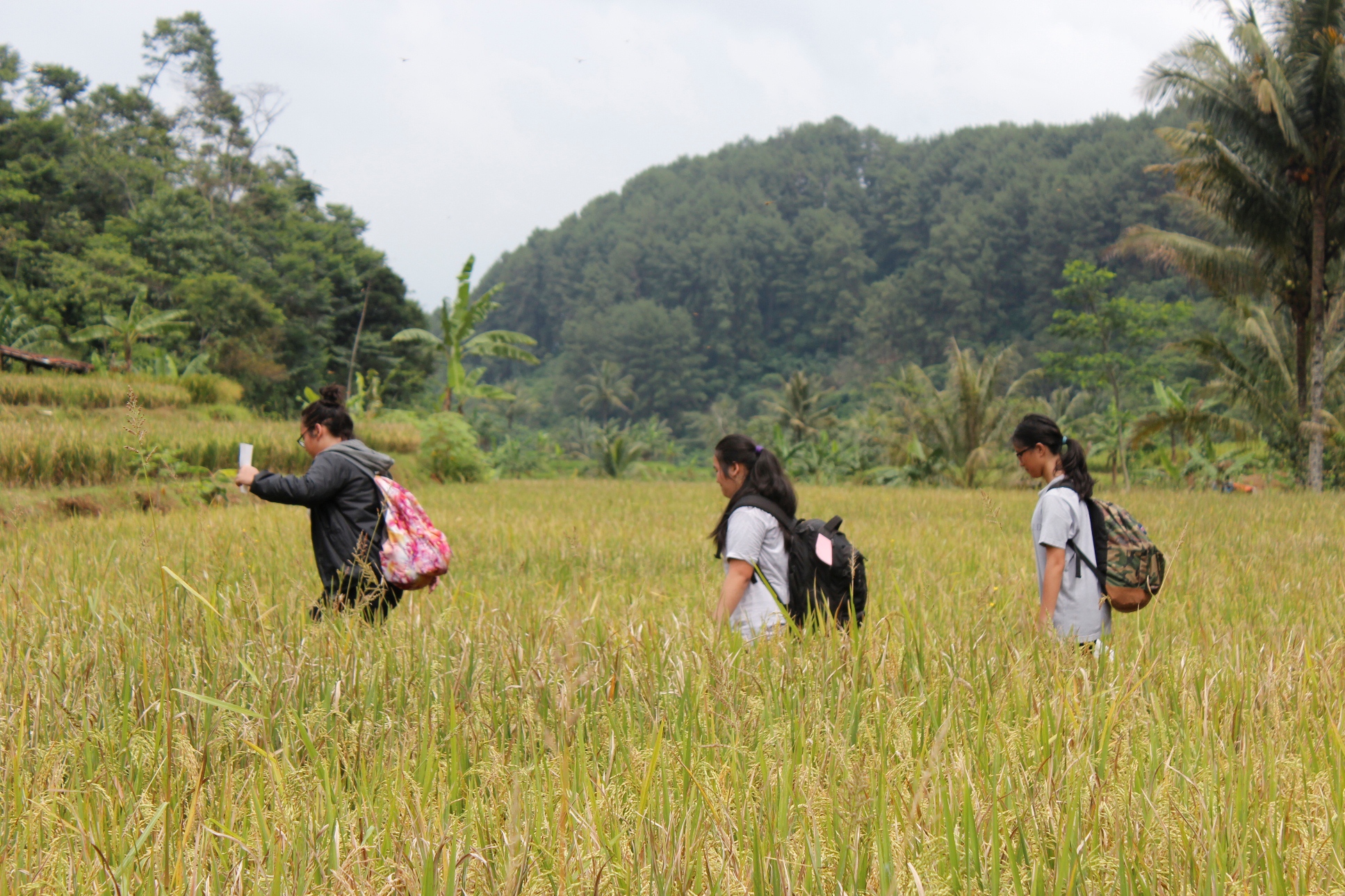 Three young Jakartans participating in REPLING in Cijambe - Credit: Erik Suhana
