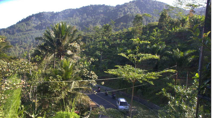 Gunung di Sumberbening ini terancam diratakan oleh perusahaan tambang emas Far East Gold (Foto: Gerry van Klinken)